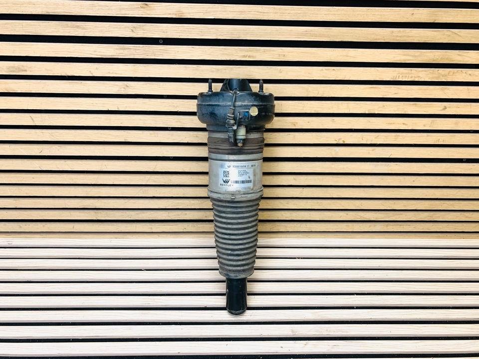 Bentley Mulsanne Front Shock Absorber - Image 2