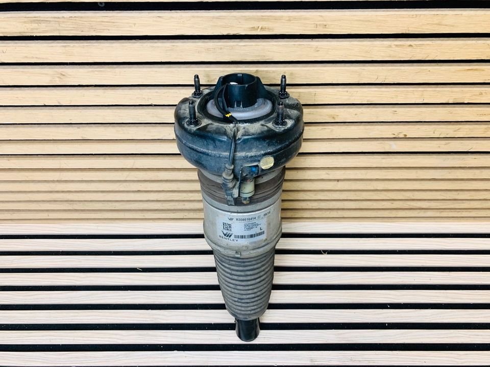 Bentley Mulsanne Front Shock Absorber - Image 4